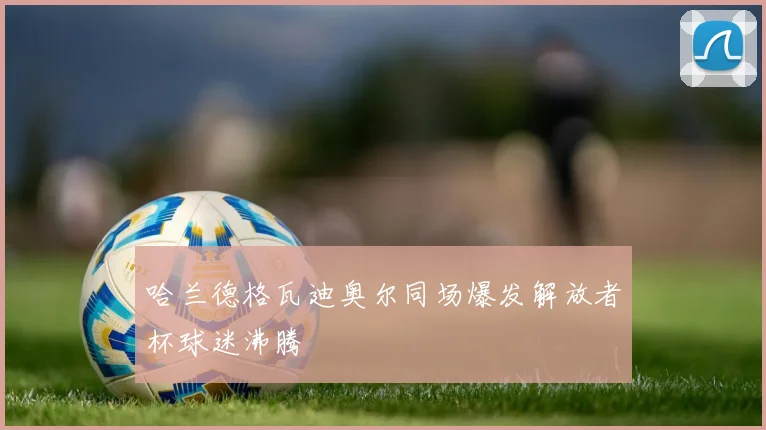 哈兰德格瓦迪奥尔同场爆发解放者杯球迷沸腾