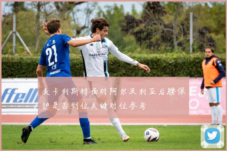 麦卡利斯特面对阿尔及利亚后腰保护是否到位关键对位参考
