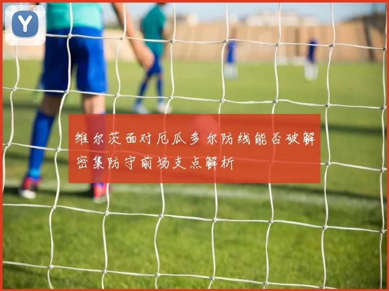 维尔茨面对厄瓜多尔防线能否破解密集防守前场支点解析