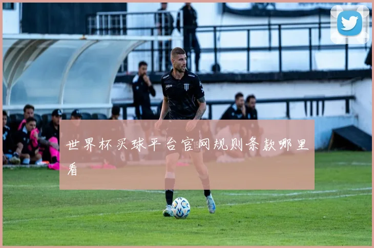 世界杯买球平台官网规则条款哪里看